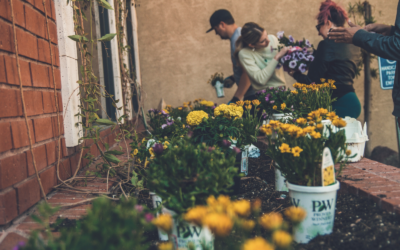The scientific reasons you should resolve to start gardening in 2023
