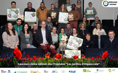 Hippocrate’s Gardens Trophies: our team in Marseille wins a Regional Award!