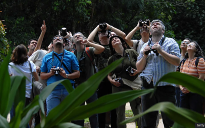 RECETAS featured in a BBC article!