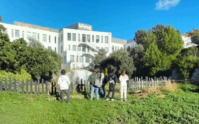 Harnessing Nature to Address Urban Loneliness: Insights from Marseille and the RECETAS Project