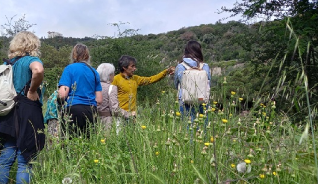 [PUBLICATION] Systematic literature review of economic studies on nature-based social prescribing for health improvement
