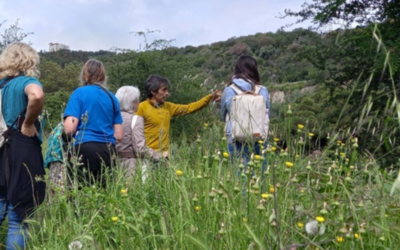[PUBLICATION] Systematic literature review of economic studies on nature-based social prescribing for health improvement