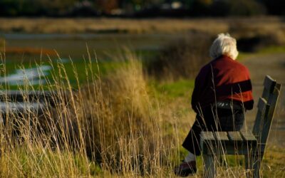[PUBLICATION] Loneliness, social inactivity and social isolation of older adults in assisted living facilities